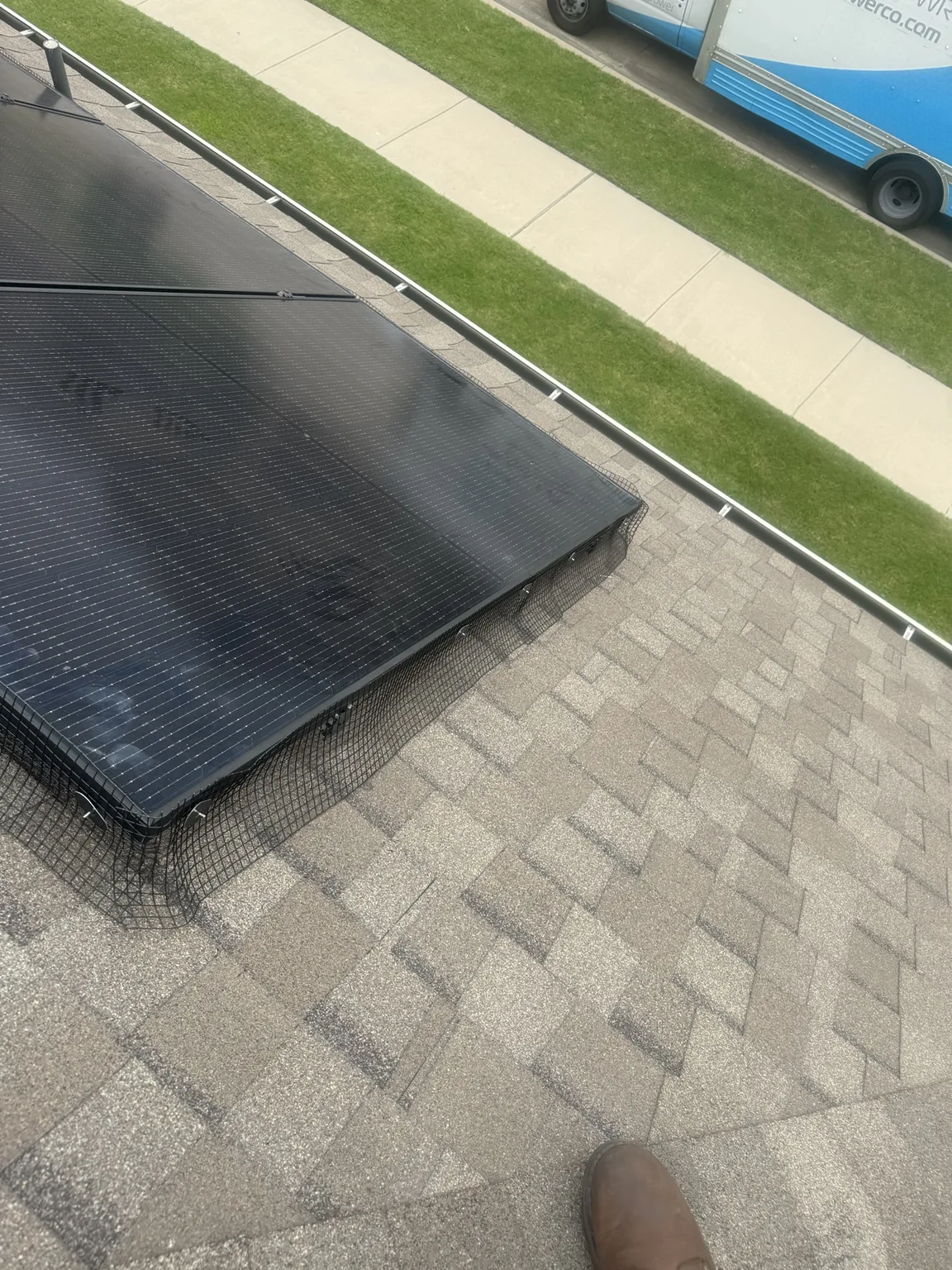 Wire mesh fitted around the lower edge of a rooftop solar array